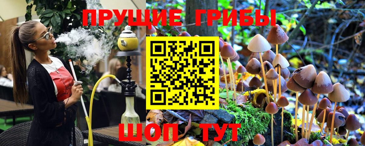 Корсаков  Галлюциногенные грибы мухоморы  Вход с VPN 
