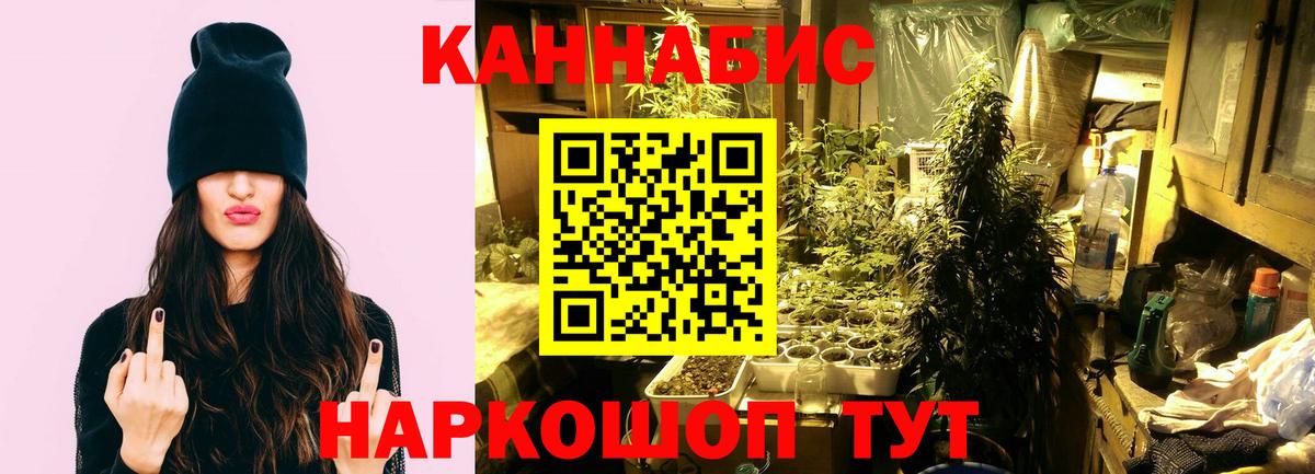 Бошки Шишки индика  Вход с VPN  МАРИХУАНА семена  Корсаков  Бошки Шишки AK-47 